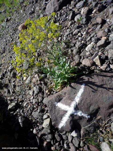 toubkal-atlas-marruecos-imlil-00010